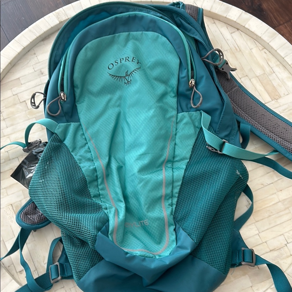 Osprey Teal Backpack
